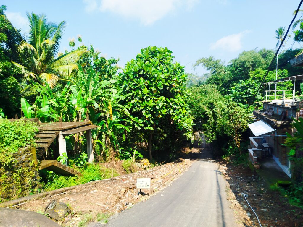 Vista de una carretera en Bali