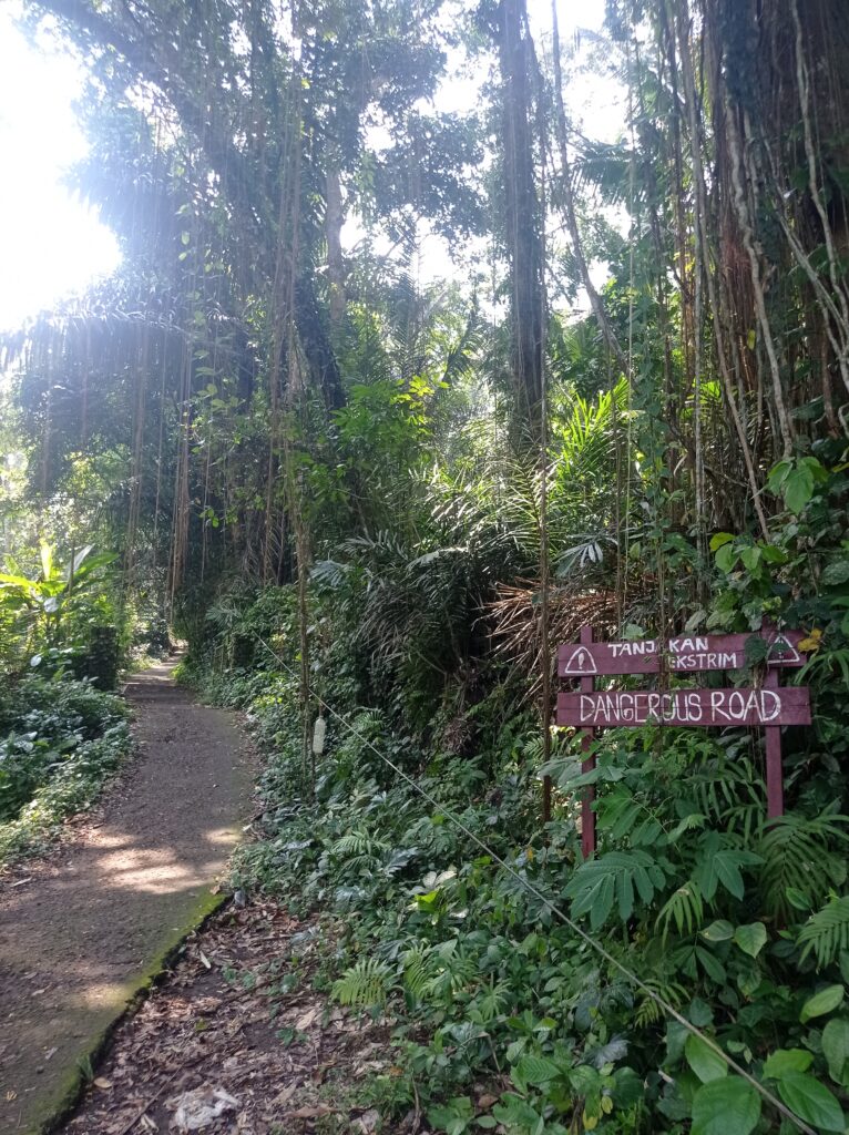 Imagen de un camino en un bosque de bambú con un cartel de peligro.